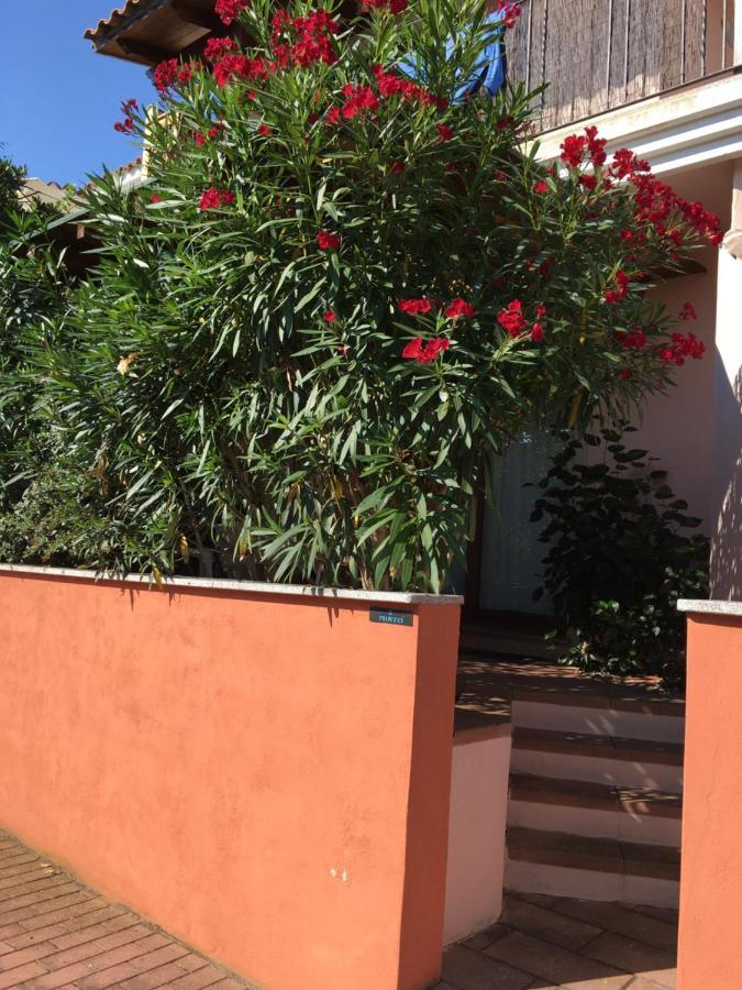 Apartmán Borgo Saraceno Mirto 5 San Pasquale Exteriér fotografie